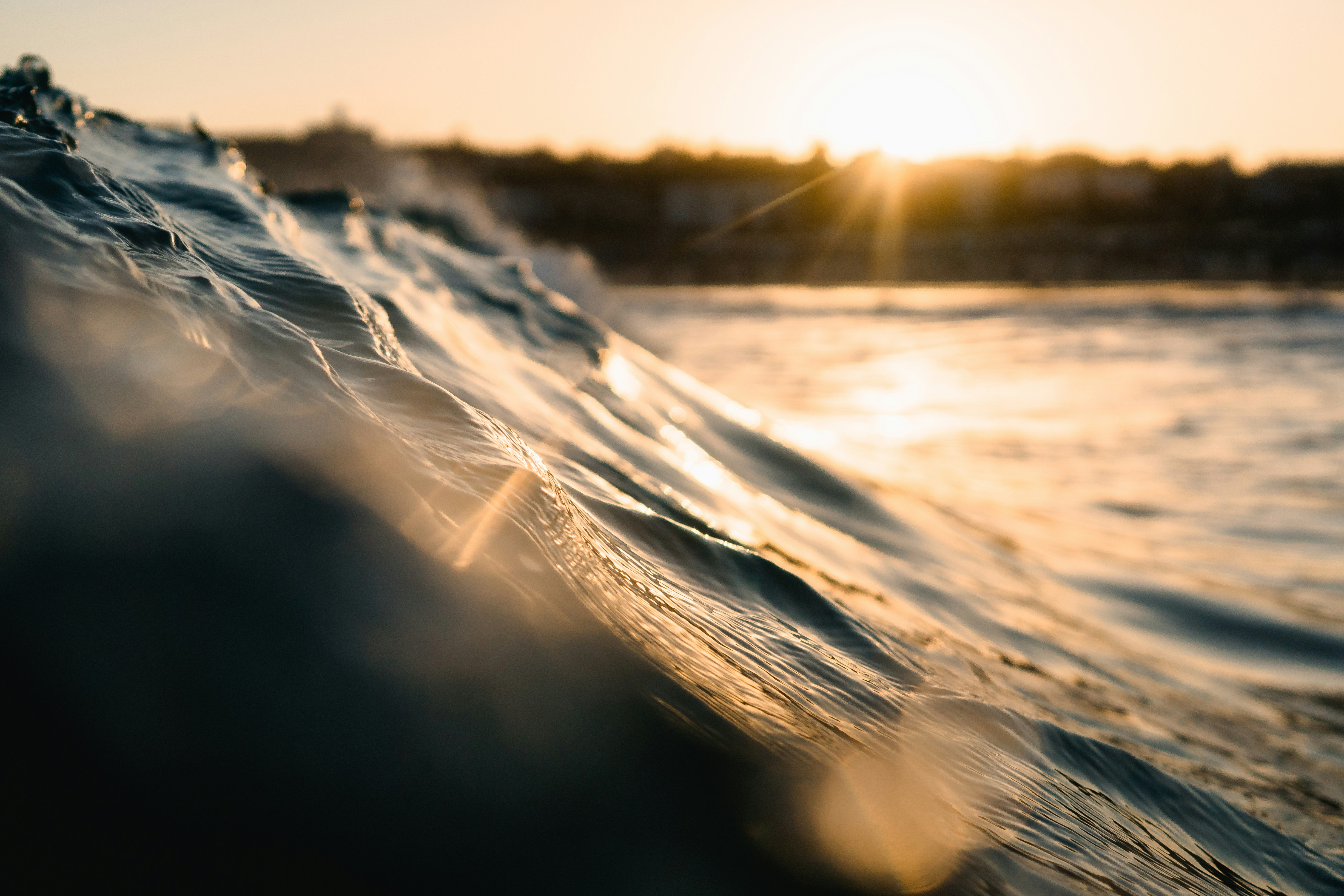 Rise & Flow – ein Ort zum Aufblühen